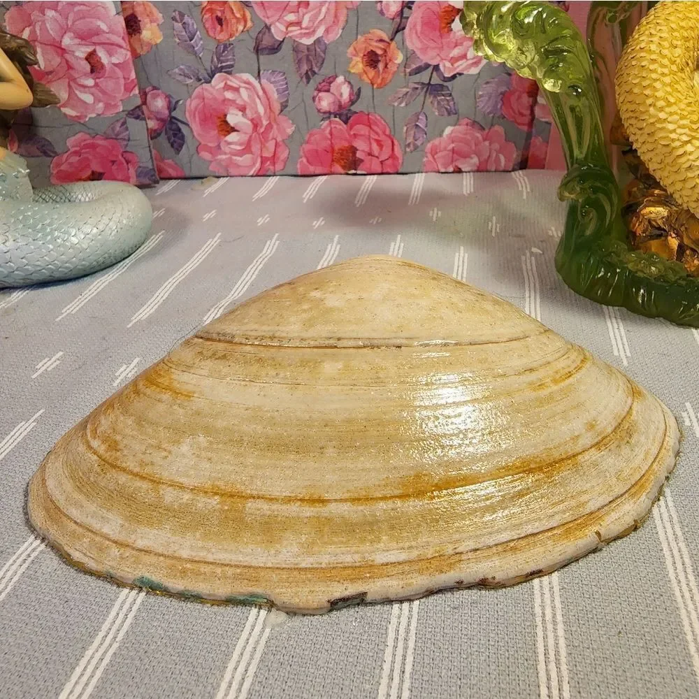 DECOUPAGE CLAM SHELL DECOUPAGE TRINKET DISH WITH KOALA BEAR AND BABY
